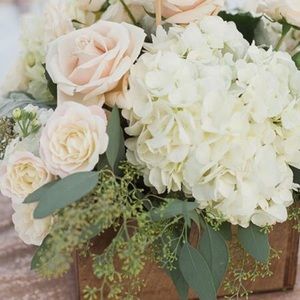 Meet your Posher, Johannah